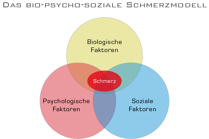 grafik-schmerzmodell-biopsychosoziales-schmerzcoaching-kristin-zang-hamburg